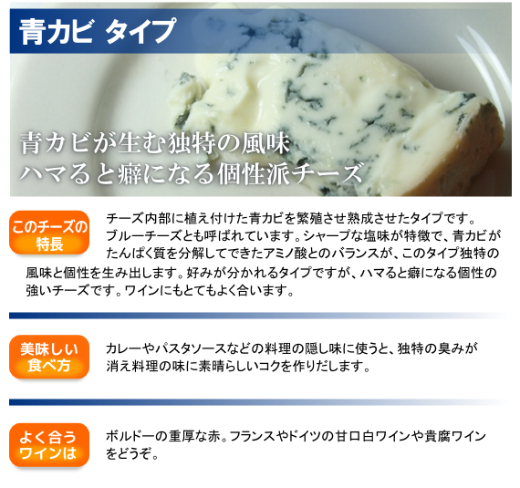 チーズのタイプ 青カビ 世界のチーズ輸入専門店 プロ食チーズ工房